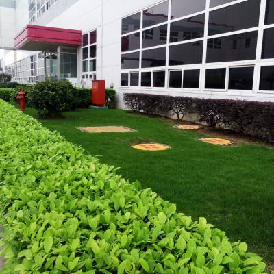 广州绿化工程施工免费提供上门设计方案丽芳园林